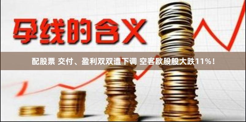 配股票 交付、盈利双双遭下调 空客欧股股大跌11%！