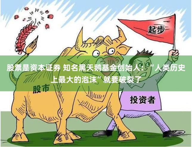 股票是资本证券 知名黑天鹅基金创始人：“人类历史上最大的泡沫”就要破裂了