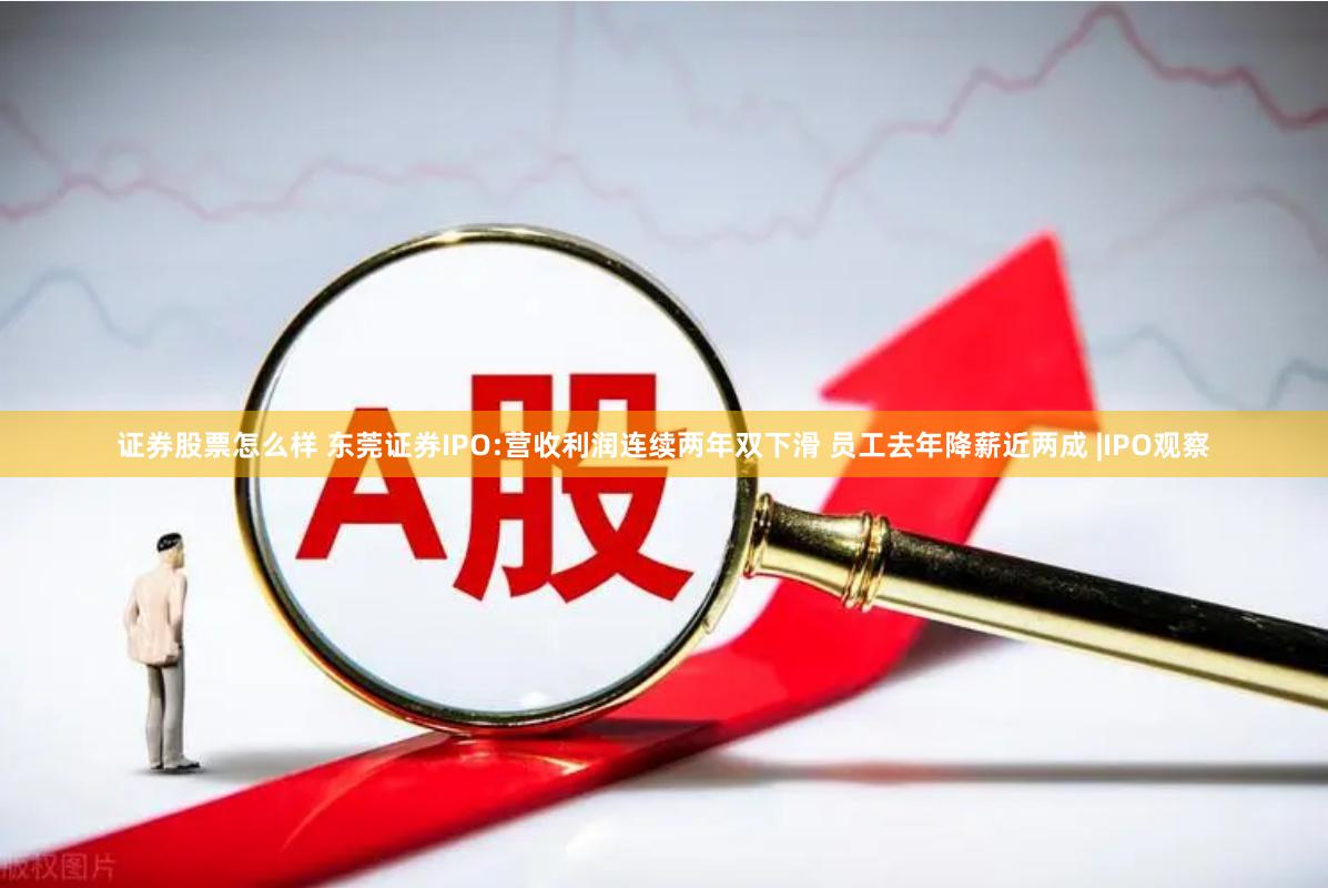 证券股票怎么样 东莞证券IPO:营收利润连续两年双下滑 员工去年降薪近两成 |IPO观察