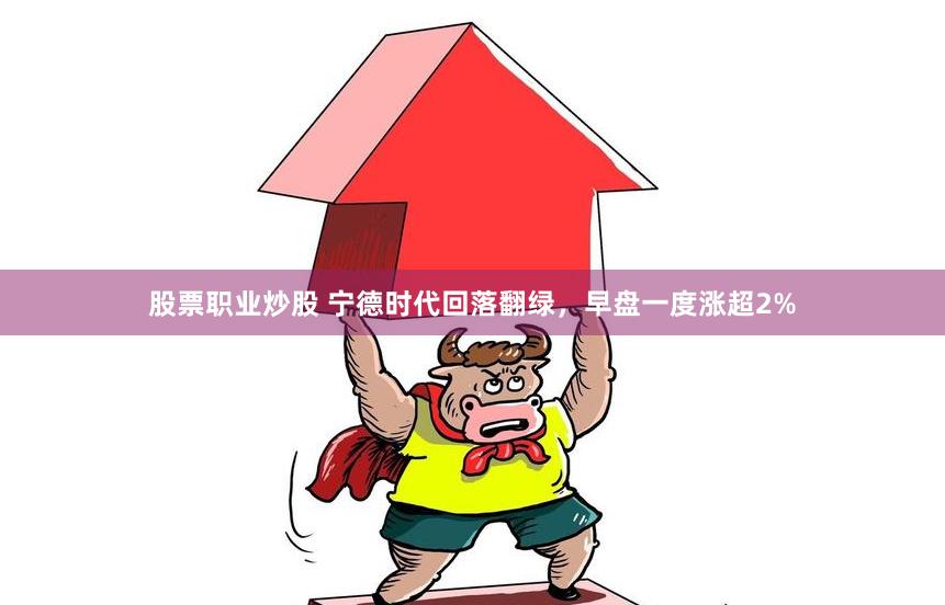 股票职业炒股 宁德时代回落翻绿，早盘一度涨超2%
