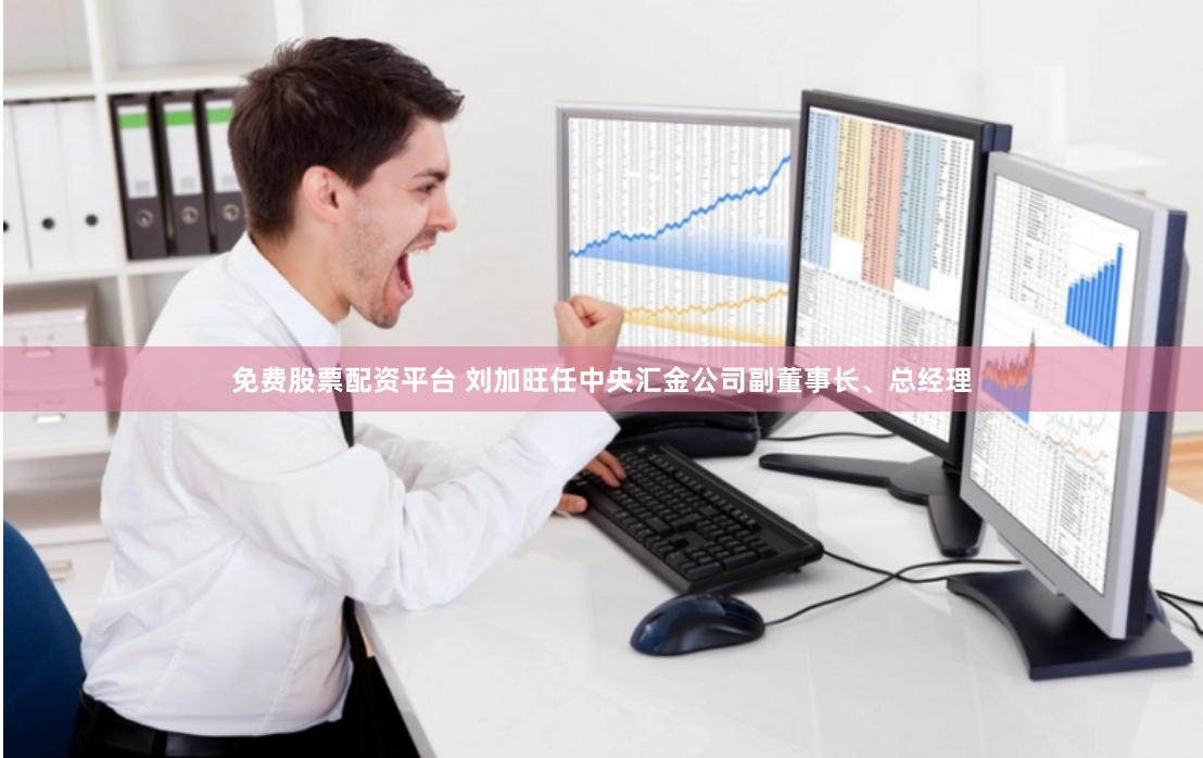 免费股票配资平台 刘加旺任中央汇金公司副董事长、总经理