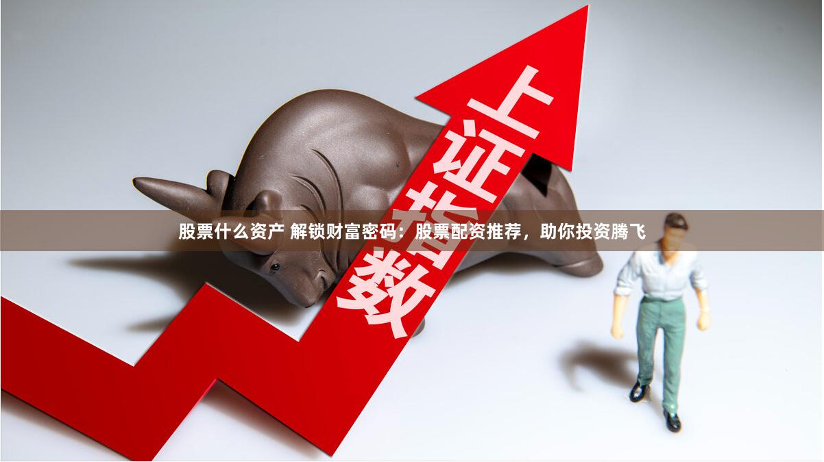 股票什么资产 解锁财富密码：股票配资推荐，助你投资腾飞