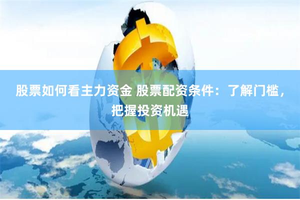 股票如何看主力资金 股票配资条件：了解门槛，把握投资机遇