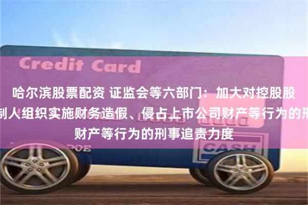 哈尔滨股票配资 证监会等六部门：加大对控股股东、实际控制人组织实施财务造假、侵占上市公司财产等行为的刑事追责力度